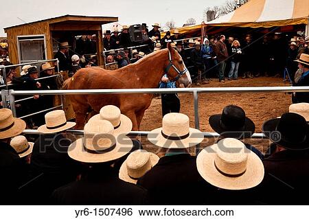 Stock Photograph - Amish men at the horse auction during the Annual Mud Sale to support the Fire Department in Gordonville, PA. Fotosearch