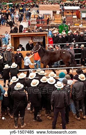 Stock Photography - Amish men at the horse auction during the Annual Mud Sale to support the Fire Department in Gordonville, PA. Fotosearch