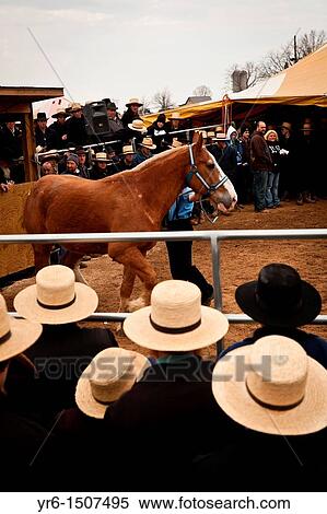 Stock Photography - Amish men at the horse auction during the Annual Mud Sale to support the Fire Department in Gordonville, PA. Fotosearch