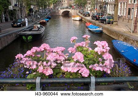 Amsterdam, Netherlands View Large Photo Image Picture - Amsterdam, Netherlands. Fotosearch