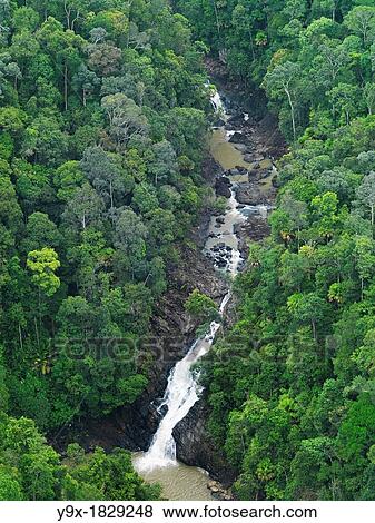 An aerial image of a waterfall cutting through the dense jungle in Johor, Malaysia View Large Photo Image Stock Photo - An aerial image of a waterfall cutting through the dense jungle in Johor, Malaysia. Fotosearch