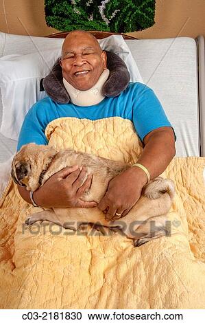An African American hospital patient in Southern California hugs a Pug comfort dog brought by a volunteer. MODEL RELEASE. View Large Photo Image Stock Image - An African American hospital patient in Southern California hugs a Pug comfort dog brought by a volunteer. MODEL RELEASE.. Fotosearch
