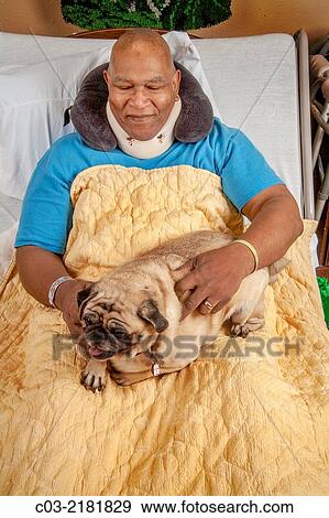An African American hospital patient in Southern California hugs a Pug comfort dog brought by a volunteer. MODEL RELEASE. View Large Photo Image Stock Photo - An African American hospital patient in Southern California hugs a Pug comfort dog brought by a volunteer. MODEL RELEASE.. Fotosearch