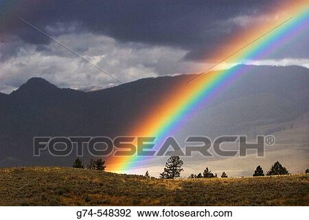 An afternoon rainbow in Yellowstone National Park, Wyoming. USA. View Large Photo Image Stock Image - An afternoon rainbow in Yellowstone National Park, Wyoming. USA.. Fotosearch