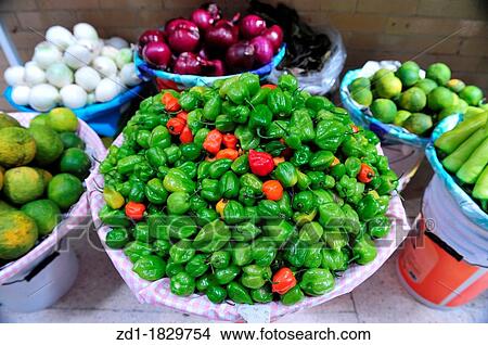 An array of lemons, chillies and onions for sale at the Mexiican food market in Mexico City View Large Photo Image Picture - An array of lemons, chillies and onions for sale at the Mexiican food market in Mexico City. Fotosearch