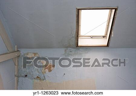 An attic in need of renovation with bright roof light. The wallpaper is peeling off because of a water-damage. Shot in Aachen, Germany. View Large Photo Image Stock Image - An attic in need of renovation with bright roof light. The wallpaper is peeling off because of a water-damage. Shot in Aachen, Germany.. Fotosearch