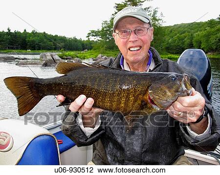 an elderly man holding a large smallmouth bass that he has just caught View Large Photo Image Stock Image - an elderly man holding a large smallmouth bass that he has just caught. Fotosearch