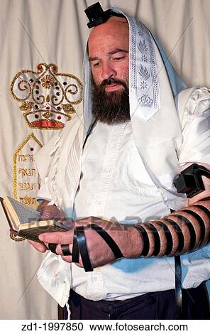 An Israeli Jewish orthodox man prays in a synagogue, reads a torah book (siddur) and wears, tefillin, tzitzit and tallit. View Large Photo Image Stock Image - An Israeli Jewish orthodox man prays in a synagogue, reads a torah book (siddur) and wears, tefillin, tzitzit and tallit.. Fotosearch