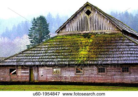 An old barn gathers moss on a farm along the California Coastline. View Large Photo Image Stock Photo - An old barn gathers moss on a farm along the California Coastline.. Fotosearch