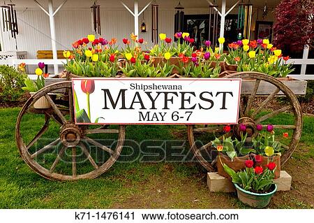 Stock Image - An old wagon with tulips and a Mayfest sign in Shipshewana, Indiana, USA. Fotosearch