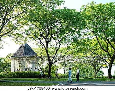 An outdoor gazebo at The Singapore Botanic Gardens View Large Photo Image Stock Image - An outdoor gazebo at The Singapore Botanic Gardens. Fotosearch