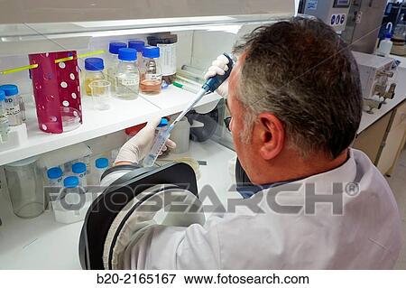 Anaerobic cabinet. Growth of anaerobic bacteria in the absence of oxygen. Organic Laboratory. Energy and Environment Division. Tecnalia Research and Innovation. Donostia. San Sebastian. Gipuzkoa. Basque Country. Spain. View Large Photo Image Stock Photo - Anaerobic cabinet. Growth of anaerobic bacteria in the absence of oxygen. Organic Laboratory. Energy and Environment Division. Tecnalia Research and Innovation. Donostia. San Sebastian. Gipuzkoa. Basque Country. Spain.. Fotosearch