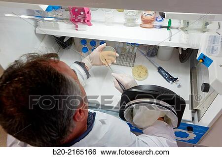 Anaerobic cabinet. Growth of anaerobic bacteria in the absence of oxygen. Organic Laboratory. Energy and Environment Division. Tecnalia Research and Innovation. Donostia. San Sebastian. Gipuzkoa. Basque Country. Spain. View Large Photo Image Stock Photograph - Anaerobic cabinet. Growth of anaerobic bacteria in the absence of oxygen. Organic Laboratory. Energy and Environment Division. Tecnalia Research and Innovation. Donostia. San Sebastian. Gipuzkoa. Basque Country. Spain.. Fotosearch