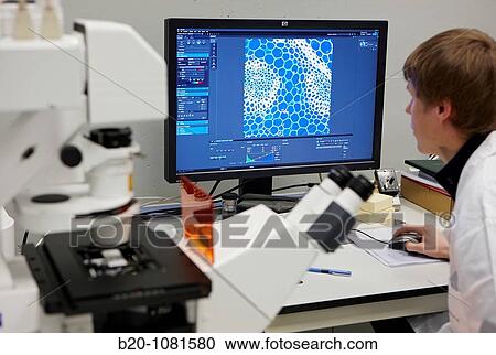 Stock Image - Analying fluorescent labelled samples, Characterization Laboratory, confocal microscope, CIC nanoGUNE Nanoscience Cooperative Research Center, Donostia, Gipuzkoa, Euskadi, Spain. Fotosearch