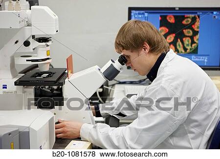Stock Photo - Analying fluorescent labelled samples, Characterization Laboratory, confocal microscope, CIC nanoGUNE Nanoscience Cooperative Research Center, Donostia, Gipuzkoa, Euskadi, Spain. Fotosearch