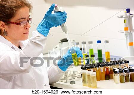 Analysis of bioactive extracts View Large Photo Image Stock Photograph - Analysis of bioactive extracts. Fotosearch
