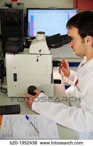 Analysis of embedded samples. Optical microscopy. Characterization, test and analyze of materials and components. Technological Services to Industry. Tecnalia Research & Innovation, Donostia, San Sebastian, Gipuzkoa, Basque Country, Spain. View Large Photo Image Stock Photo - Analysis of embedded samples. Optical microscopy. Characterization, test and analyze of materials and components. Technological Services to Industry. Tecnalia Research & Innovation, Donostia, San Sebastian, Gipuzkoa, Basque Country, Spain.. Fotosearch