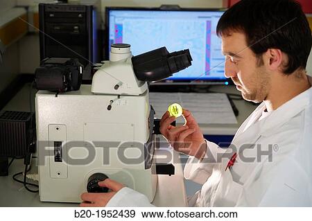 Analysis of embedded samples. Optical microscopy. Characterization, test and analyze of materials and components. Technological Services to Industry. Tecnalia Research & Innovation, Donostia, San Sebastian, Gipuzkoa, Basque Country, Spain. View Large Photo Image Stock Photo - Analysis of embedded samples. Optical microscopy. Characterization, test and analyze of materials and components. Technological Services to Industry. Tecnalia Research & Innovation, Donostia, San Sebastian, Gipuzkoa, Basque Country, Spain.. Fotosearch