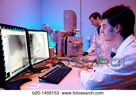 Analysis of nanostructures and nanodevices using SEM, Environmental scanning electron microscopy Laboratory, ESEM, Microscope Quanta TM 250 FEG, High-resolution surface imaging, Investigation of wet and dielectric samples View Large Photo Image Stock Image - Analysis of nanostructures and nanodevices using SEM, Environmental scanning electron microscopy Laboratory, ESEM, Microscope Quanta TM 250 FEG, High-resolution surface imaging, Investigation of wet and dielectric samples. Fotosearch