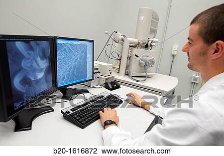 Stock Image - Analysis of nanostructures and nanodevices using SEM, Environmental scanning electron microscopy Laboratory. Fotosearch