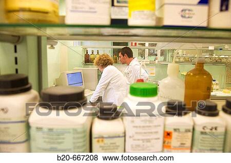 Analysis of Potato Virus. Application of ELISA (Enzyme-Linked ImmunoSorbent Assay) technique. Neiker Tecnalia, Instituto de Investigaci? n y Desarrollo Agrario, Ganadero, Forestal y del Medio Natural, Arkaute, Alava, Euskadi, Spain. View Large Photo Image Stock Photo - Analysis of Potato Virus. Application of ELISA (Enzyme-Linked ImmunoSorbent Assay) technique. Neiker Tecnalia, Instituto de Investigaci? n y Desarrollo Agrario, Ganadero, Forestal y del Medio Natural, Arkaute, Alava, Euskadi, Spain.. Fotosearch
