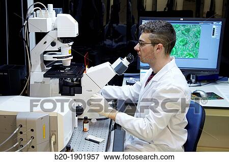 Analyzing fluorescent labelled samples, Axio Observer Z1 Inverted Phase and Fluorescence Microscope, Characterization Laboratory, CIC nanoGUNE, Nano science Cooperative Research Center, Donostia, San Sebastian, Gipuzkoa, Basque Country, Spain View Large Photo Image Stock Photo - Analyzing fluorescent labelled samples, Axio Observer Z1 Inverted Phase and Fluorescence Microscope, Characterization Laboratory, CIC nanoGUNE, Nano science Cooperative Research Center, Donostia, San Sebastian, Gipuzkoa, Basque Country, Spain. Fotosearch