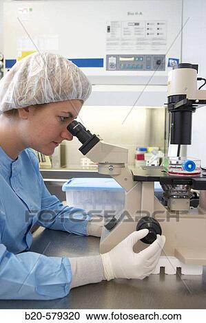 Stock Image - Analyzing samples in microscope. Quarantine zone (Grade C), clean room. Laboratory, Fundaci? n Inbiomed, Genetrix Group. Center for research in stem cells and regenerative medicine. Donostia, San Sebastian, Euskadi. Spain.. Fotosearch