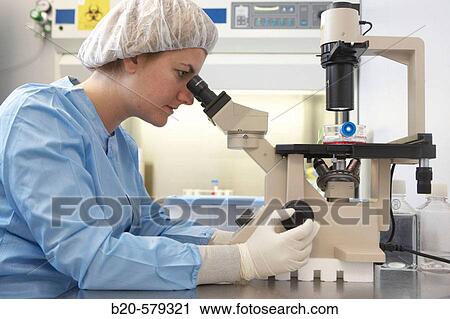 Stock Image - Analyzing samples in microscope. Quarantine zone (Grade C), clean room. Laboratory, Fundaci? n Inbiomed, Genetrix Group. Center for research in stem cells and regenerative medicine. Donostia, San Sebastian, Euskadi. Spain.. Fotosearch
