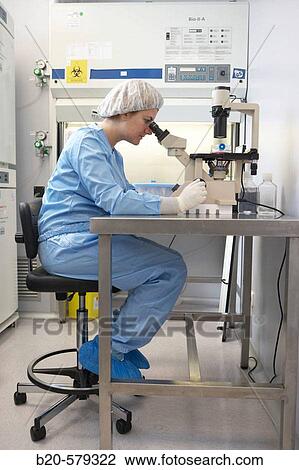 Analyzing samples in microscope. Quarantine zone (Grade C), clean room. Laboratory, Fundaci? n Inbiomed, Genetrix Group. Center for research in stem cells and regenerative medicine. Donostia, San Sebastian, Euskadi. Spain. View Large Photo Image Stock Image - Analyzing samples in microscope. Quarantine zone (Grade C), clean room. Laboratory, Fundaci? n Inbiomed, Genetrix Group. Center for research in stem cells and regenerative medicine. Donostia, San Sebastian, Euskadi. Spain.. Fotosearch