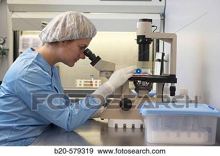 Stock Photo - Analyzing samples in microscope. Quarantine zone (Grade C), clean room. Laboratory, Fundaci? n Inbiomed, Genetrix Group. Center for research in stem cells and regenerative medicine. Donostia, San Sebastian, Euskadi. Spain.. Fotosearch