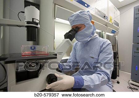 Analyzing samples in microscope. Production room, grade B. Clean room. Laboratory, Fundaci? n Inbiomed, Genetrix Group. Center for research in stem cells and regenerative medicine. Donostia, San Sebastian, Euskadi. Spain. View Large Photo Image Stock Photo - Analyzing samples in microscope. Production room, grade B. Clean room. Laboratory, Fundaci? n Inbiomed, Genetrix Group. Center for research in stem cells and regenerative medicine. Donostia, San Sebastian, Euskadi. Spain.. Fotosearch