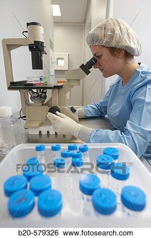 Analyzing samples in microscope. Quarantine zone (Grade C), clean room. Laboratory, Fundaci? n Inbiomed, Genetrix Group. Center for research in stem cells and regenerative medicine. Donostia, San Sebastian, Euskadi. Spain. View Large Photo Image Stock Photograph - Analyzing samples in microscope. Quarantine zone (Grade C), clean room. Laboratory, Fundaci? n Inbiomed, Genetrix Group. Center for research in stem cells and regenerative medicine. Donostia, San Sebastian, Euskadi. Spain.. Fotosearch