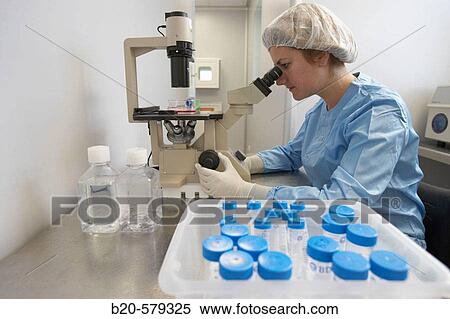 Analyzing samples in microscope. Quarantine zone (Grade C), clean room. Laboratory, Fundaci? n Inbiomed, Genetrix Group. Center for research in stem cells and regenerative medicine. Donostia, San Sebastian, Euskadi. Spain. View Large Photo Image Stock Photography - Analyzing samples in microscope. Quarantine zone (Grade C), clean room. Laboratory, Fundaci? n Inbiomed, Genetrix Group. Center for research in stem cells and regenerative medicine. Donostia, San Sebastian, Euskadi. Spain.. Fotosearch