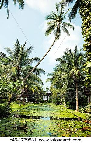 Anantara Hotel, Ko Samui Island, Thailand, Asia. View Large Photo Image Stock Image - Anantara Hotel, Ko Samui Island, Thailand, Asia.. Fotosearch