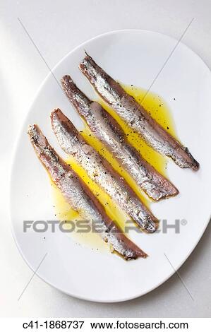 Stock Photo - Anchovies.. Fotosearch