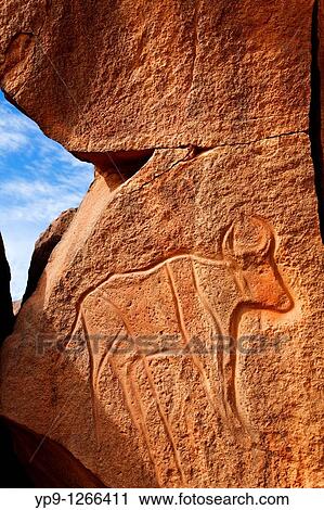 Stock Image - Ancient engraving of a buffalo at the Wadi Matkhandouch, Libya. Fotosearch