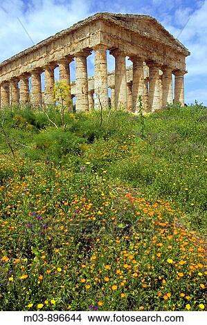 Ancient Greek Doric Temple Segesta archaeological site Sicily Italy View Large Photo Image Picture - Ancient Greek Doric Temple Segesta archaeological site Sicily Italy. Fotosearch