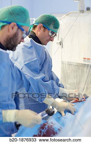 Stock Image - Angioplasty, Stenting in coronary arteries, Hemodynamic, Operating room, Surgery, Hospital Donostia, San Sebastian, Gipuzkoa, Basque Country, Spain. Fotosearch