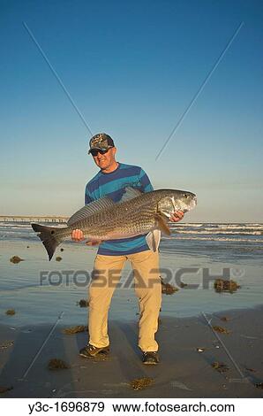 Angler at a beach presenting trophy sized fish caught in the Gulf of Mexico View Large Photo Image Stock Photo - Angler at a beach presenting trophy sized fish caught in the Gulf of Mexico. Fotosearch