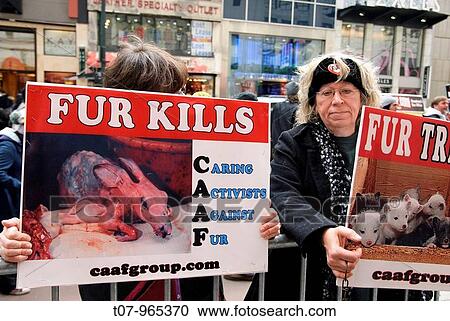 Animal Activists, Manhattan NYC, November 27, 2009, Protest on Black Friday, the discount shopping day that follows American Thanksgiving Day View Large Photo Image Stock Image - Animal Activists, Manhattan NYC, November 27, 2009, Protest on Black Friday, the discount shopping day that follows American Thanksgiving Day. Fotosearch