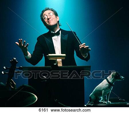 Animal View Large Photo Image Stock Image - Animal. Fotosearch