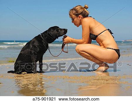 Animal View Large Photo Image Stock Image - Animal. Fotosearch