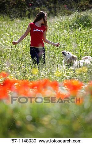 Animal View Large Photo Image Stock Image - Animal. Fotosearch