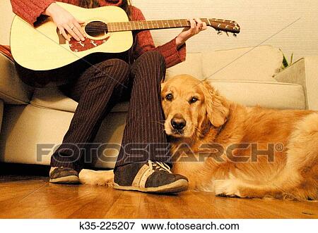 Animal View Large Photo Image Stock Photo - Animal. Fotosearch