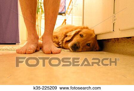 Stock Photo - Animal. Fotosearch