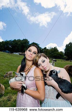 Animal View Large Photo Image Stock Photo - Animal. Fotosearch