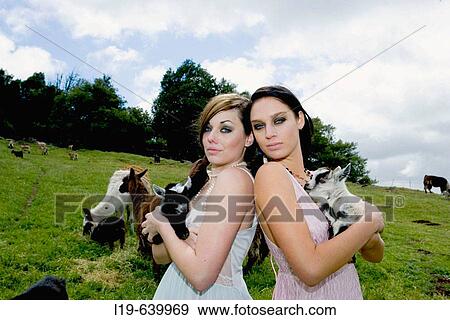 Animal View Large Photo Image Stock Photo - Animal. Fotosearch