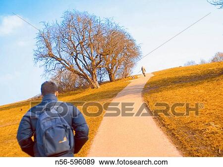 Animal View Large Photo Image Stock Photo - Animal. Fotosearch