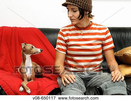 Animal View Large Photo Image Stock Photo - Animal. Fotosearch