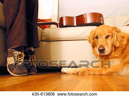 Stock Photograph - Animal. Fotosearch